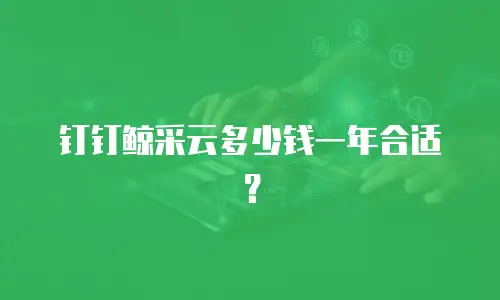 钉钉鲸采云多少钱一年合适？
