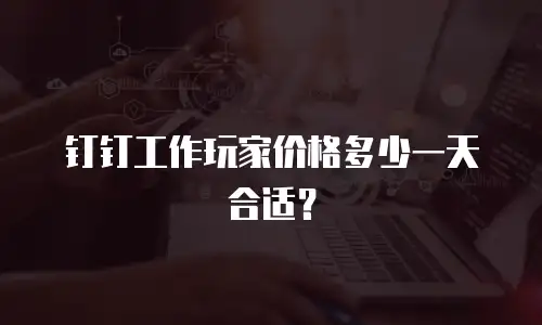 钉钉工作玩家价格多少一天合适？