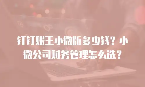 钉钉账王小微版多少钱？小微公司财务管理怎么选？
