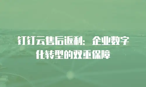 钉钉云售后返利：企业数字化转型的双重保障