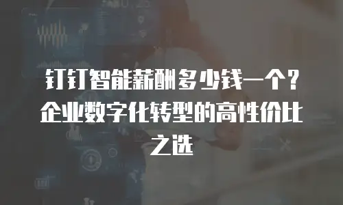 钉钉智能薪酬多少钱一个？企业数字化转型的高性价比之选