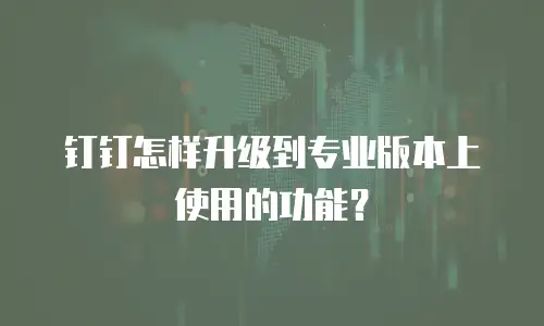 钉钉怎样升级到专业版本上使用的功能？