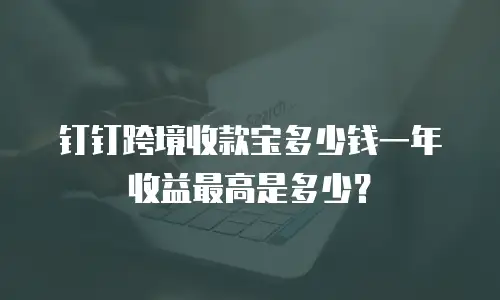 钉钉跨境收款宝多少钱一年收益最高是多少？