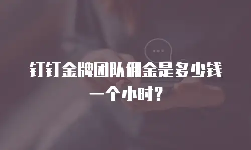 钉钉金牌团队佣金是多少钱一个小时？