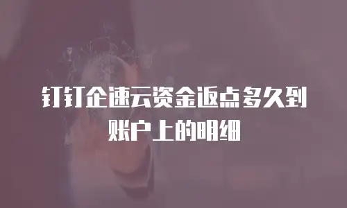 钉钉企速云资金返点多久到账户上的明细