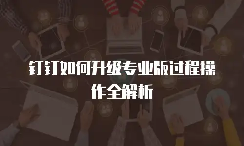 钉钉如何升级专业版过程操作全解析