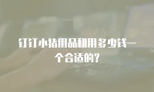 钉钉小猪用品租用多少钱一个合适的？