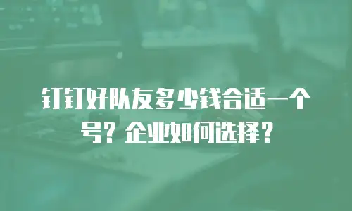 钉钉好队友多少钱合适一个号？企业如何选择？