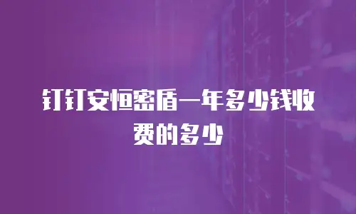 钉钉安恒密盾一年多少钱收费的多少