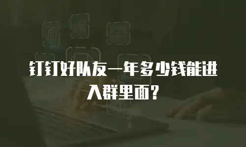 钉钉好队友一年多少钱能进入群里面？