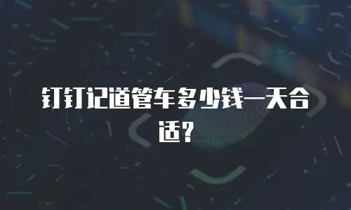 钉钉记道管车多少钱一天合适？