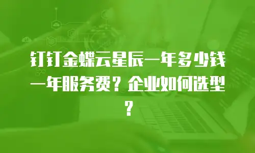 钉钉金蝶云星辰一年多少钱一年服务费？企业如何选型？