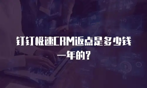 钉钉极速CRM返点是多少钱一年的？