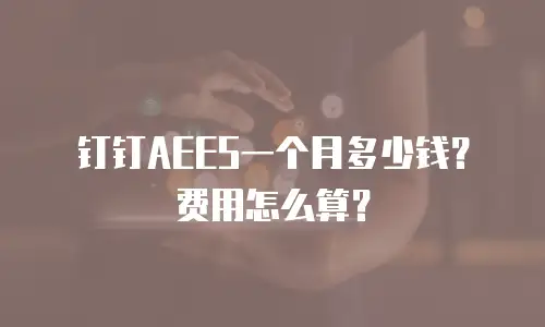 钉钉AEES一个月多少钱？费用怎么算？