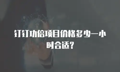 钉钉功倍项目价格多少一小时合适？