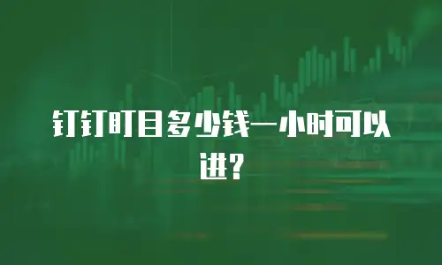 钉钉盯目多少钱一小时可以进？
