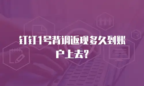 钉钉1号背调返现多久到账户上去？