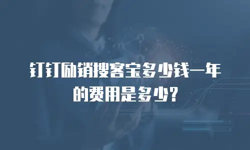 钉钉励销搜客宝多少钱一年的费用是多少？