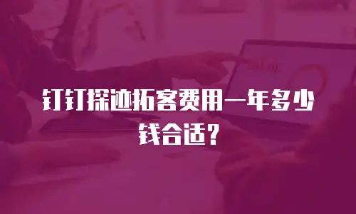 钉钉探迹拓客费用一年多少钱合适？