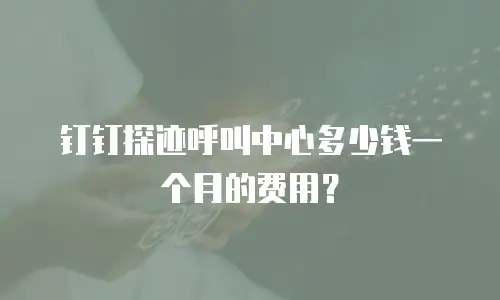 钉钉探迹呼叫中心多少钱一个月的费用？