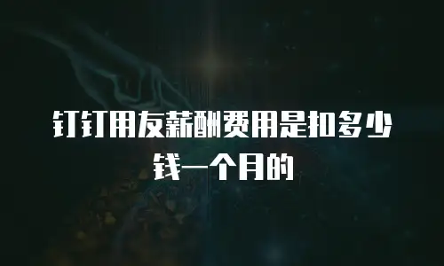 钉钉用友薪酬费用是扣多少钱一个月的
