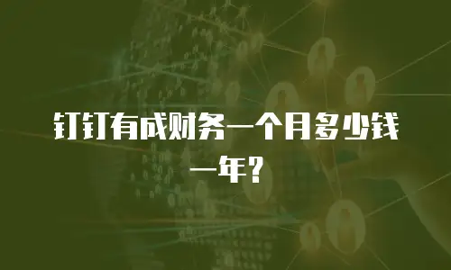 钉钉有成财务一个月多少钱一年？