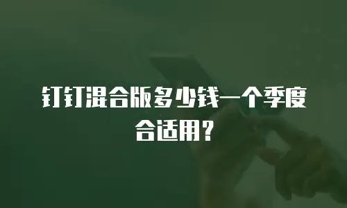 钉钉混合版多少钱一个季度合适用？