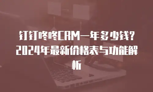 钉钉咚咚CRM一年多少钱？2024年最新价格表与功能解析