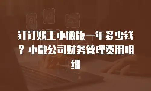 钉钉账王小微版一年多少钱？小微公司财务管理费用明细
