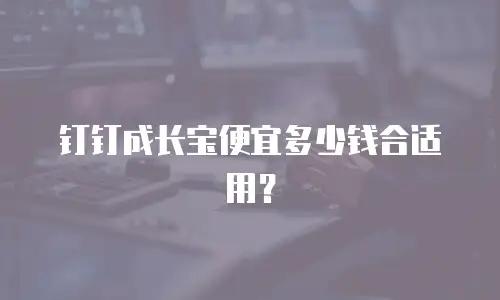 钉钉成长宝便宜多少钱合适用？