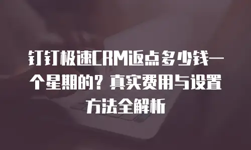 钉钉极速CRM返点多少钱一个星期的？真实费用与设置方法全解析