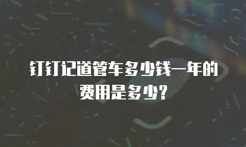 钉钉记道管车多少钱一年的费用是多少？