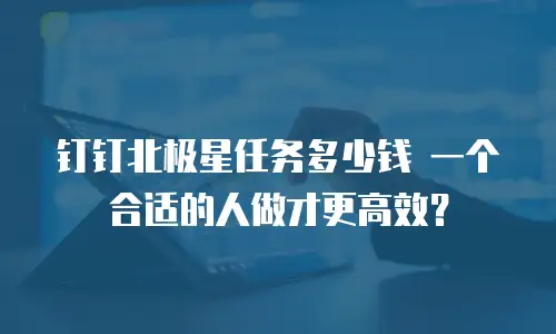 钉钉北极星任务多少钱 一个合适的人做才更高效？