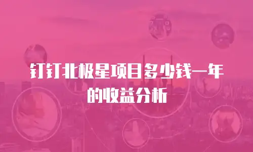 钉钉北极星项目多少钱一年的收益分析