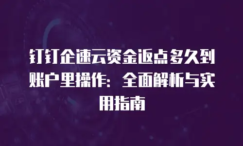 钉钉企速云资金返点多久到账户里操作：全面解析与实用指南
