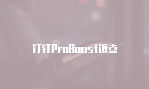 钉钉ProBoost返点