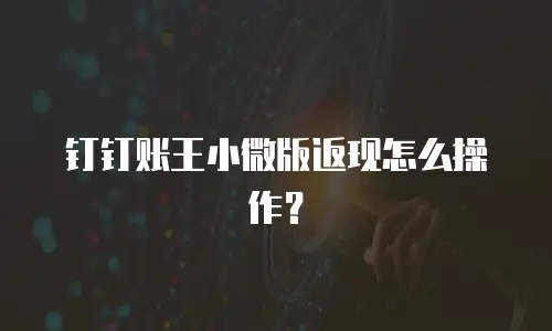 钉钉账王小微版返现怎么操作？