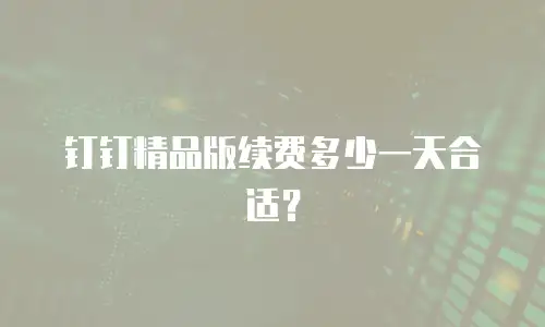 钉钉精品版续费多少一天合适？
