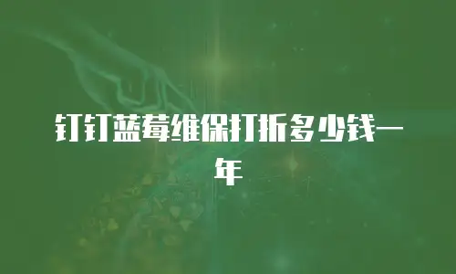 钉钉蓝莓维保打折多少钱一年