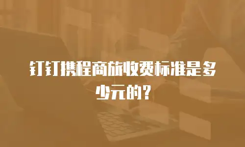 钉钉携程商旅收费标准是多少元的？