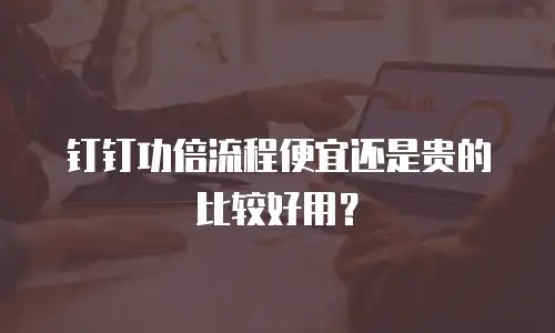 钉钉功倍流程便宜还是贵的比较好用？