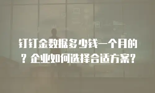 钉钉金数据多少钱一个月的？企业如何选择合适方案？