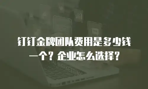 钉钉金牌团队费用是多少钱一个？企业怎么选择？