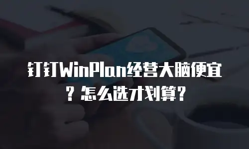 钉钉WinPlan经营大脑便宜？怎么选才划算？