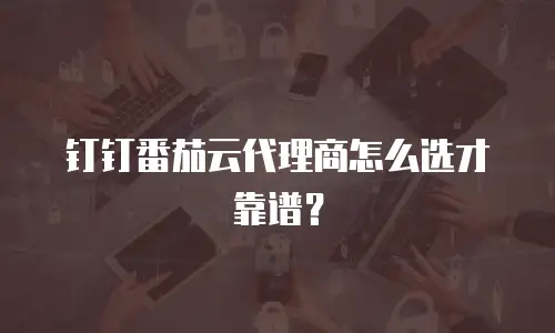 钉钉番茄云代理商怎么选才靠谱？