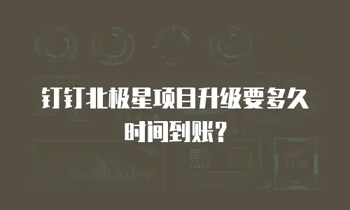 钉钉北极星项目升级要多久时间到账？