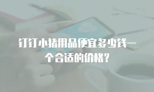 钉钉小猪用品便宜多少钱一个合适的价格？