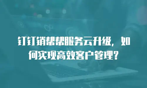 钉钉销帮帮服务云升级，如何实现高效客户管理？