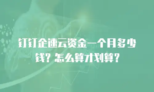 钉钉企速云资金一个月多少钱？怎么算才划算？