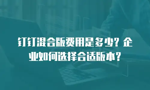 钉钉混合版费用是多少？企业如何选择合适版本？
